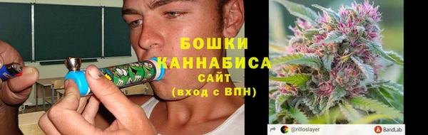 СК Вяземский