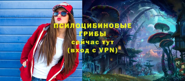 СК Вяземский